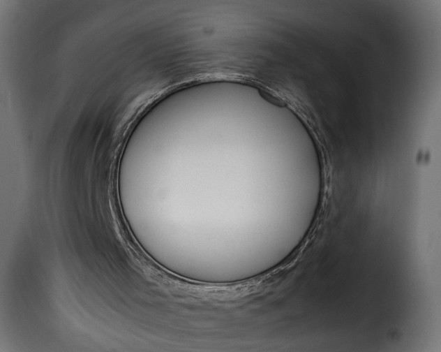 X0000115620001200911241634