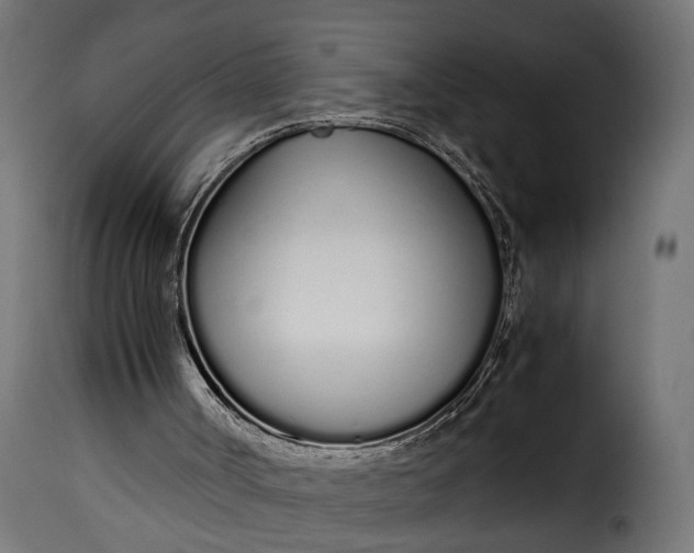 X0000115620002200911241634