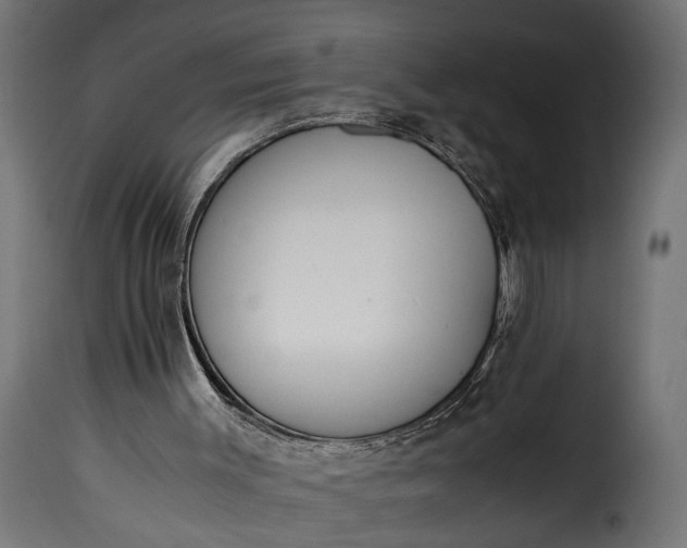 X0000115620003200911241634