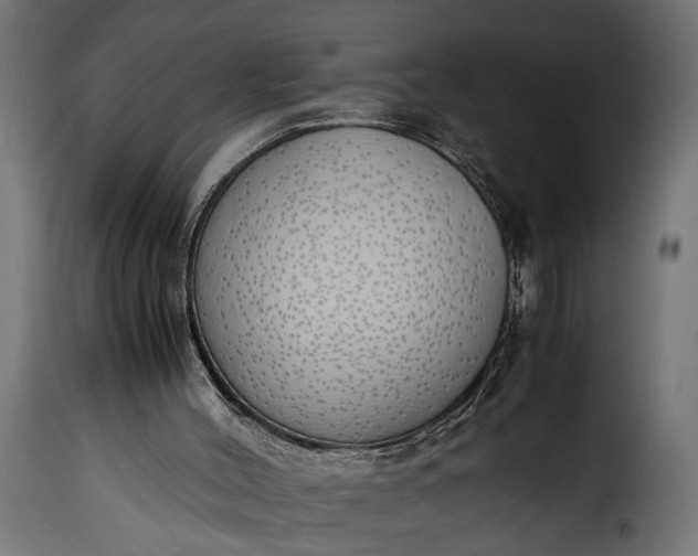 X0000115620004200911241634