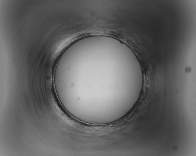 X0000115620005200911241634