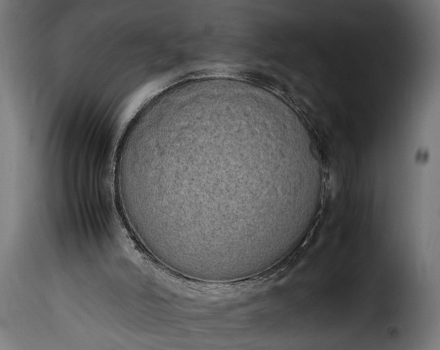 X0000115620006200911241634