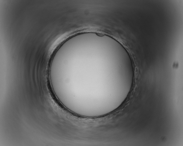 X0000115620007200911241634