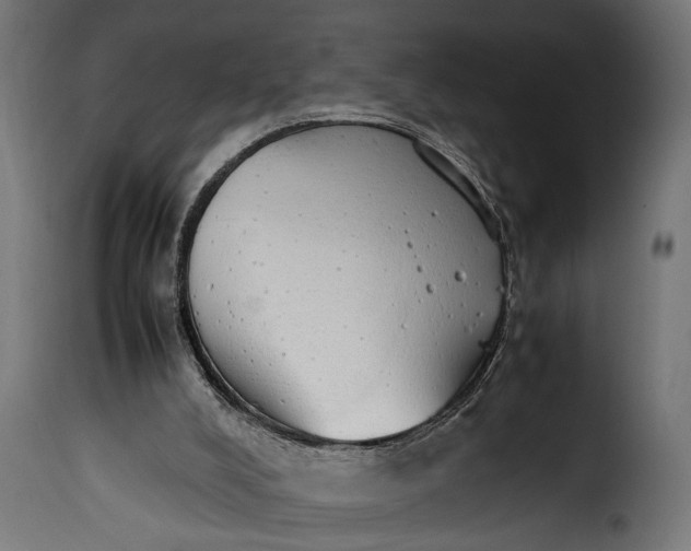 X0000115620008200911241634