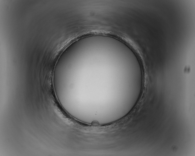 X0000115620009200911241634