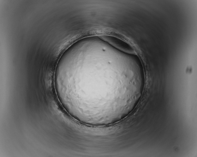 X0000115620010200911241634