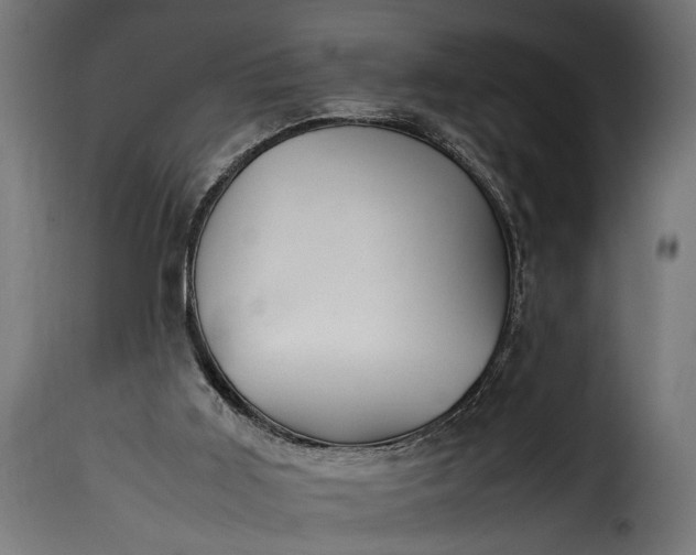 X0000115620011200911241634