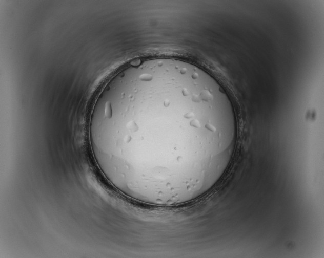 X0000115620012200911241634