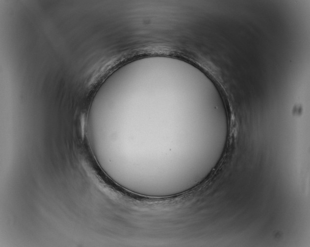 X0000115620013200911241634