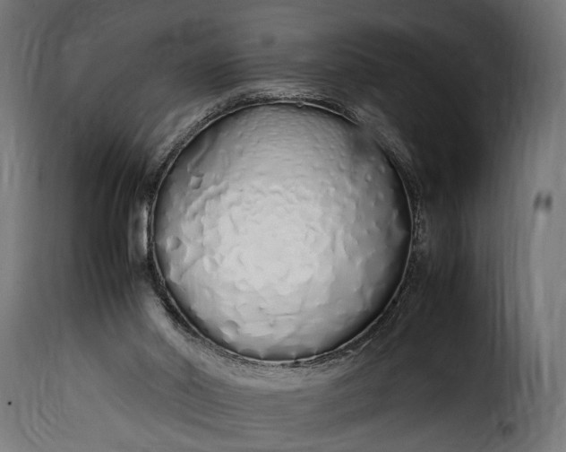 X0000115620014200911241634