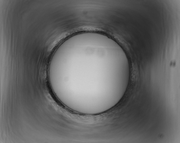 X0000115620015200911241634