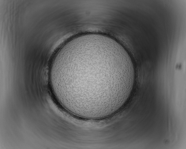 X0000115620016200911241634