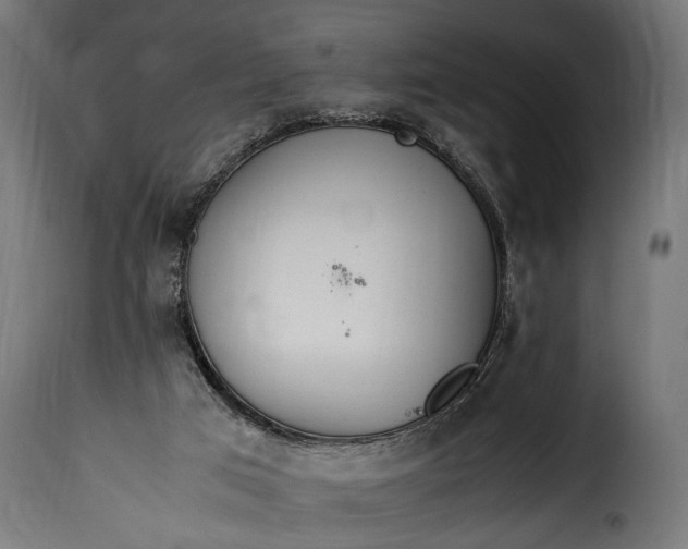 X0000115620017200911241634