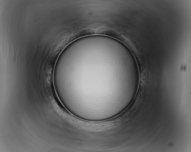 X0000115620018200911241634