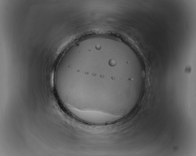 X0000115620019200911241634