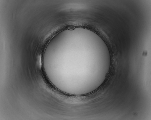 X0000115620020200911241634