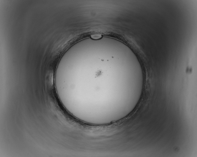 X0000115620021200911241634