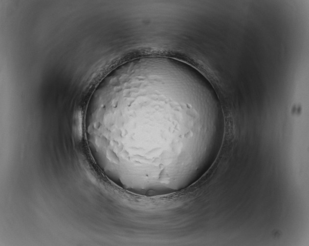 X0000115620022200911241634