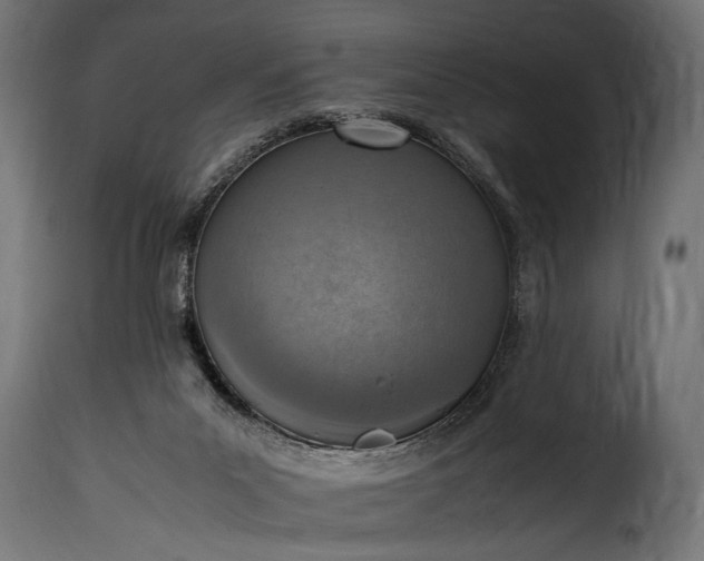 X0000115620023200911241634