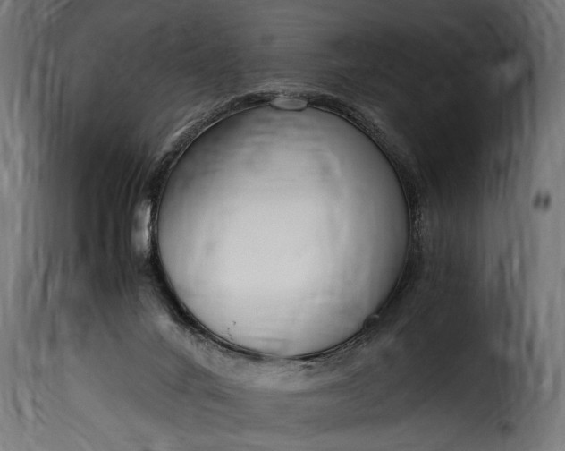 X0000115620024200911241634