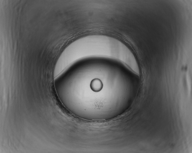 X0000115620025200911241634