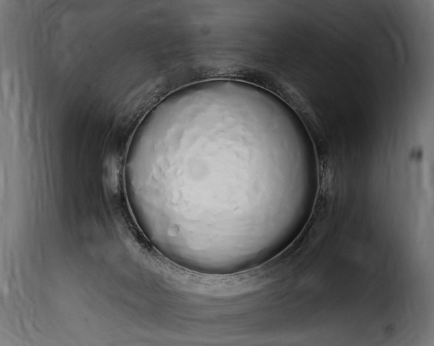 X0000115620026200911241634