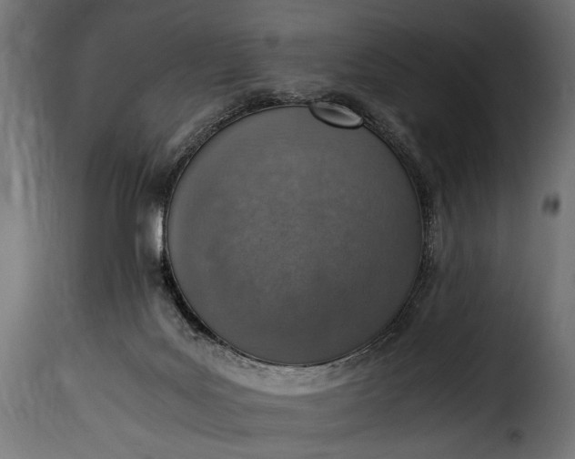 X0000115620027200911241634