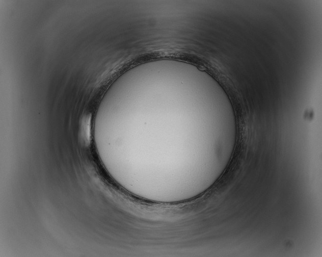 X0000115620028200911241634