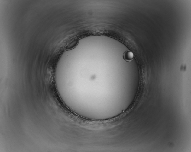 X0000115620029200911241634