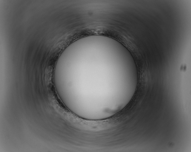 X0000115620030200911241634