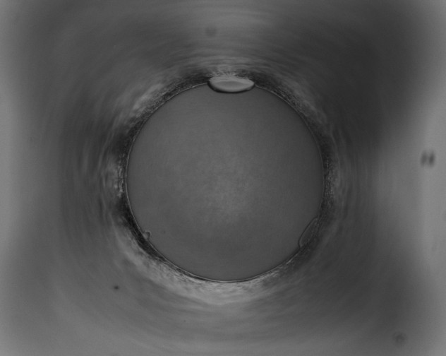 X0000115620031200911241634