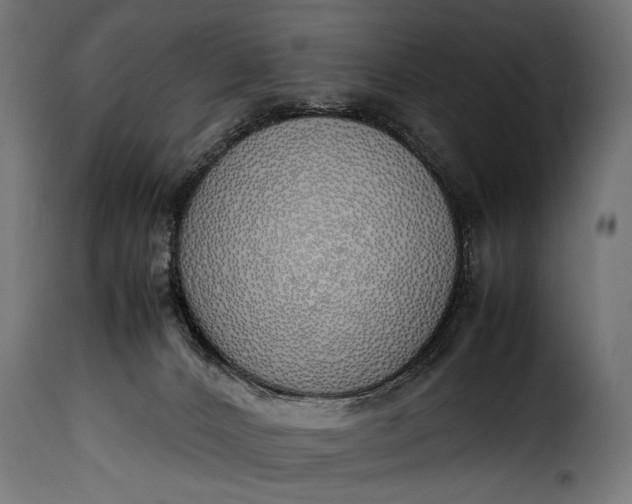 X0000115620032200911241634