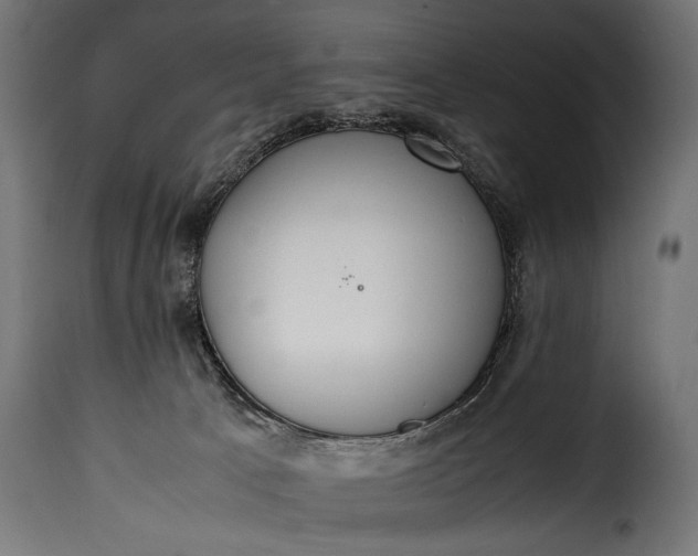 X0000115620033200911241634