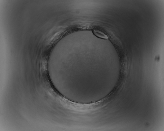 X0000115620035200911241634