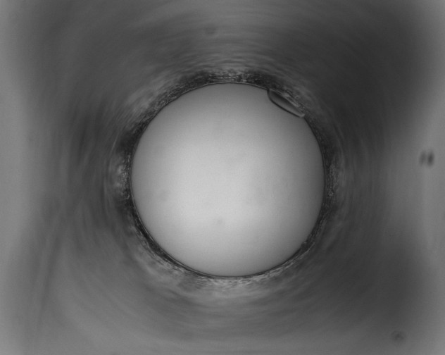 X0000115620037200911241634