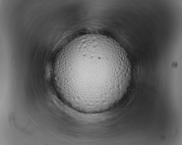 X0000115620038200911241634