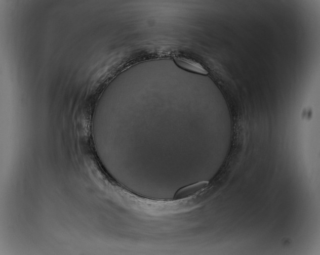 X0000115620039200911241634