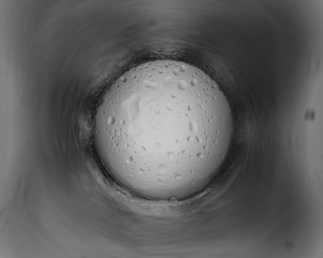 X0000115620040200911241634