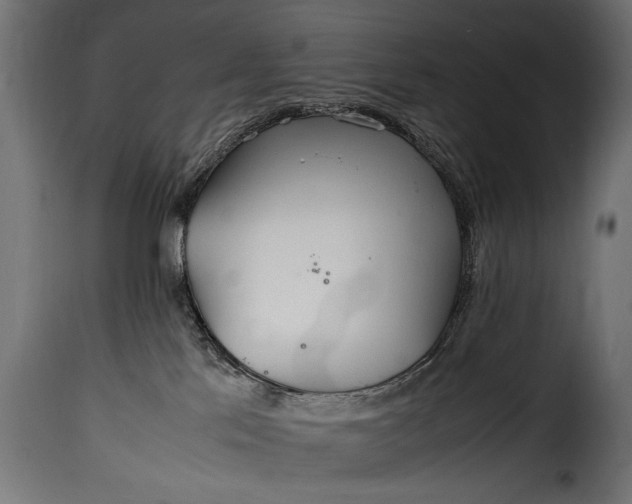 X0000115620041200911241634