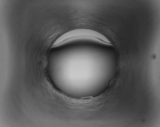 X0000115620043200911241634