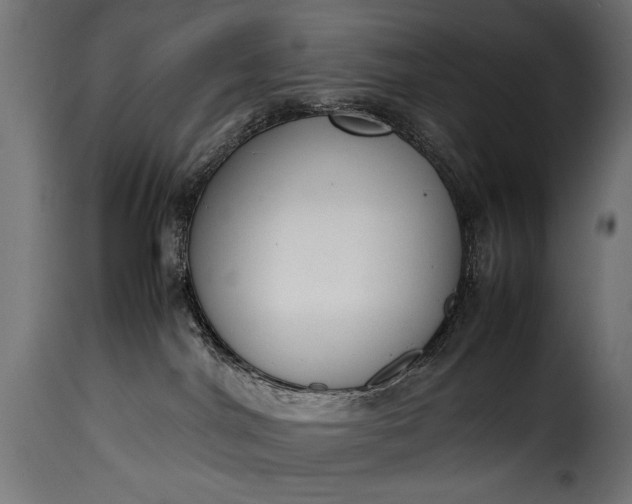 X0000115620044200911241634