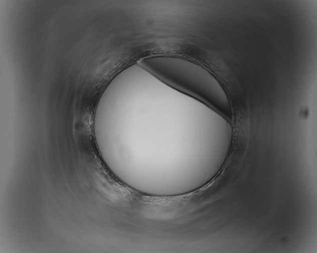 X0000115620045200911241634