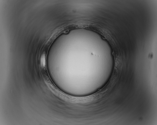 X0000115620046200911241634