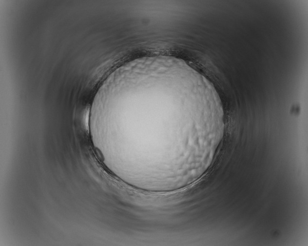 X0000115620047200911241634