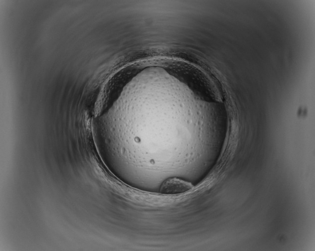 X0000115620048200911241634