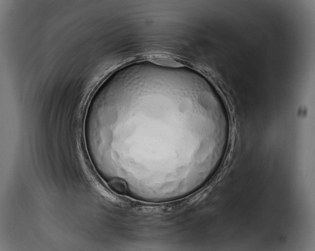 X0000115620049200911241633