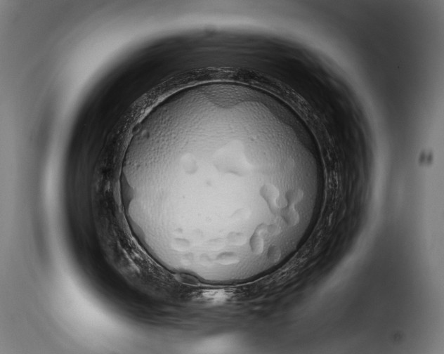 X0000115620050200911241633