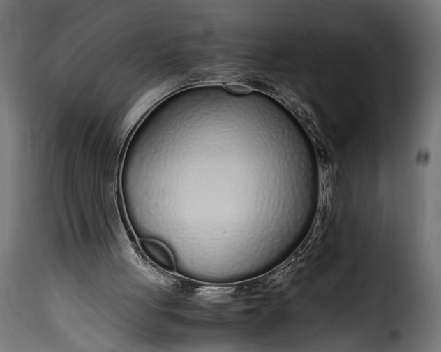 X0000115620051200911241633