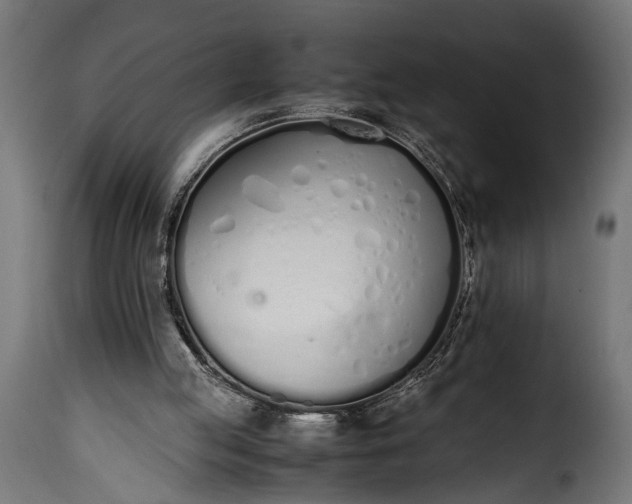 X0000115620053200911241633