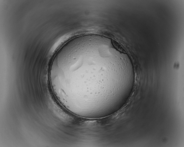 X0000115620054200911241633